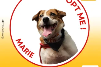 MARIE