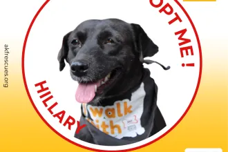 HILLARY