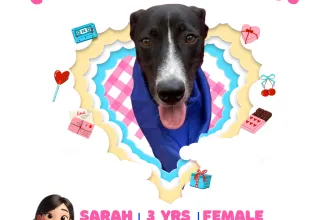 SARAH image 0