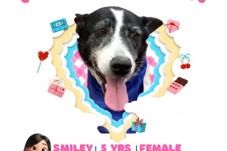 Smiley image 0