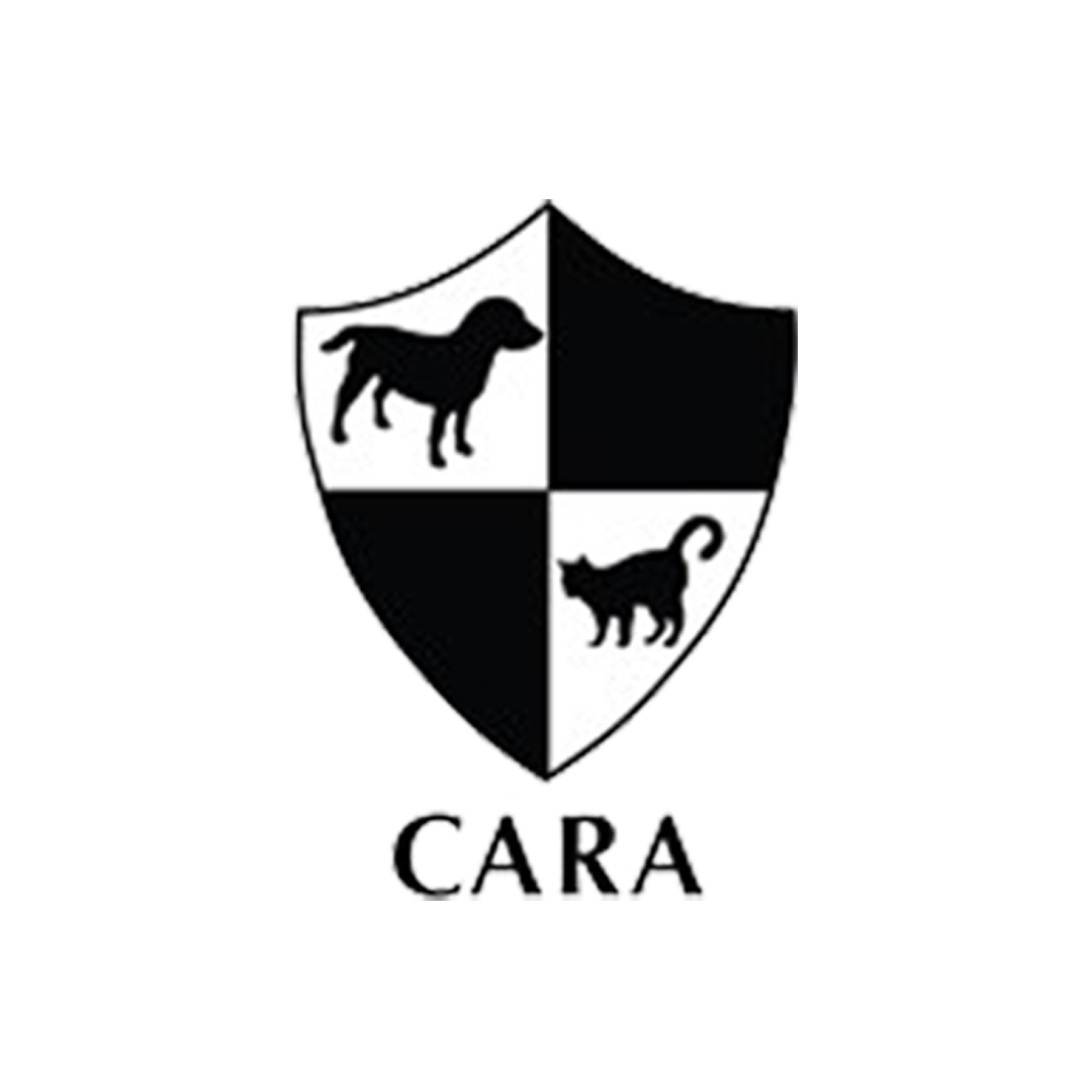 Cara