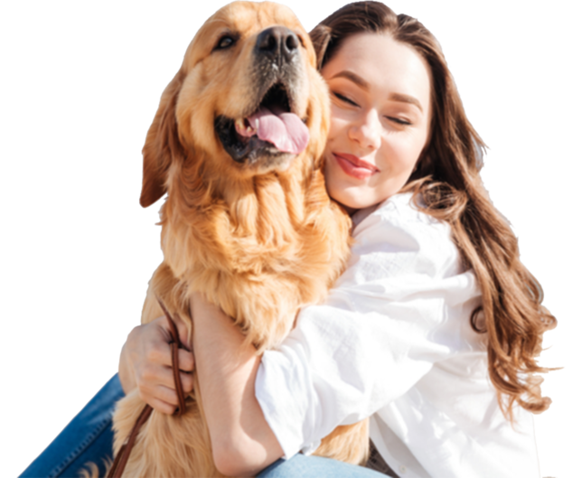 Pedigree Dog